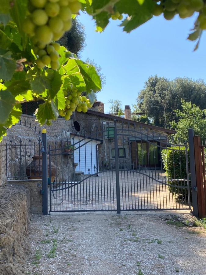 Casetta Santa Fortunata Guest House Sutri Dış mekan fotoğraf
